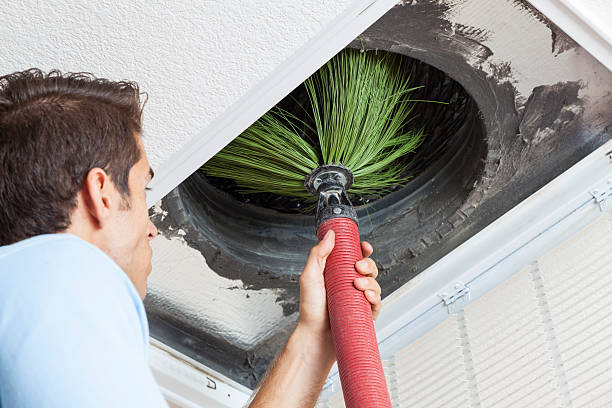 Best HVAC System Cleaning  in Wagener, SC
