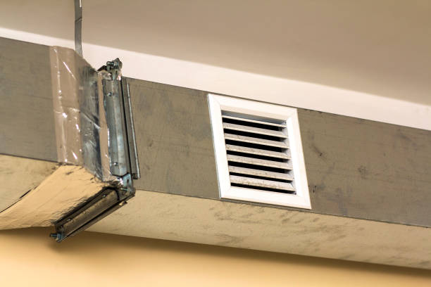 Best Professional Duct Cleaning Services  in Wagener, SC
